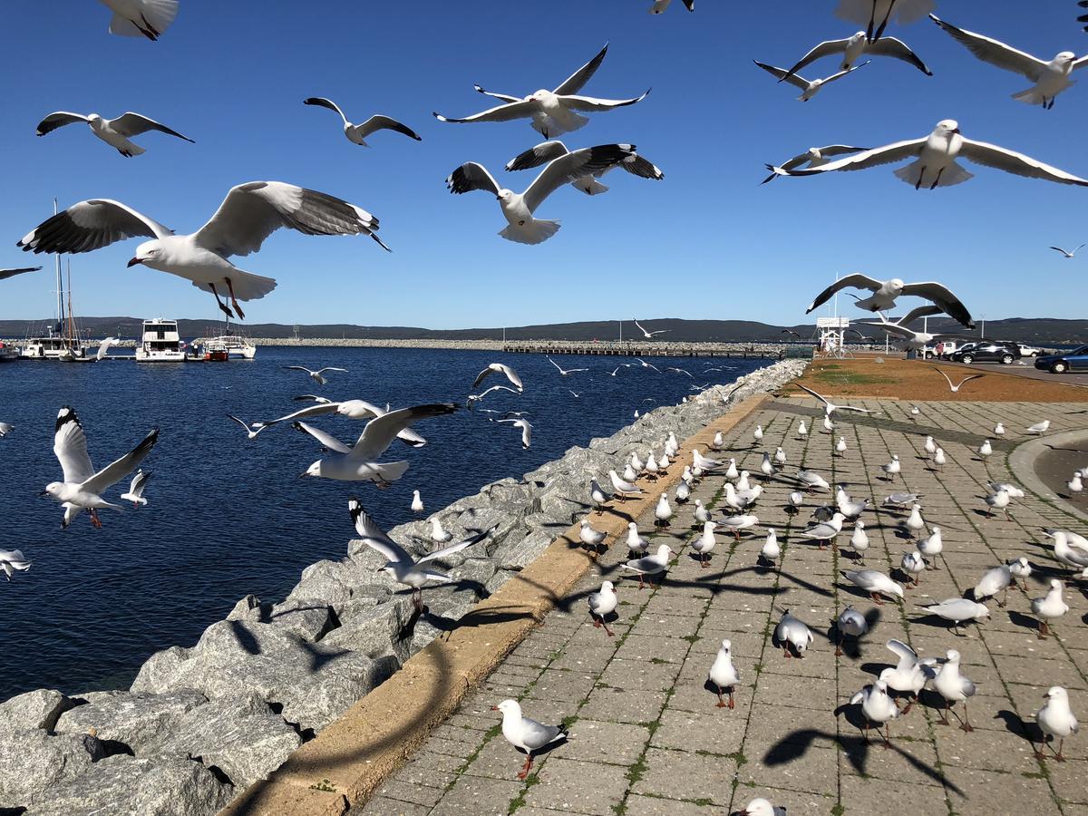 奥尔巴尼海滩住宿加早餐旅馆 外观 照片