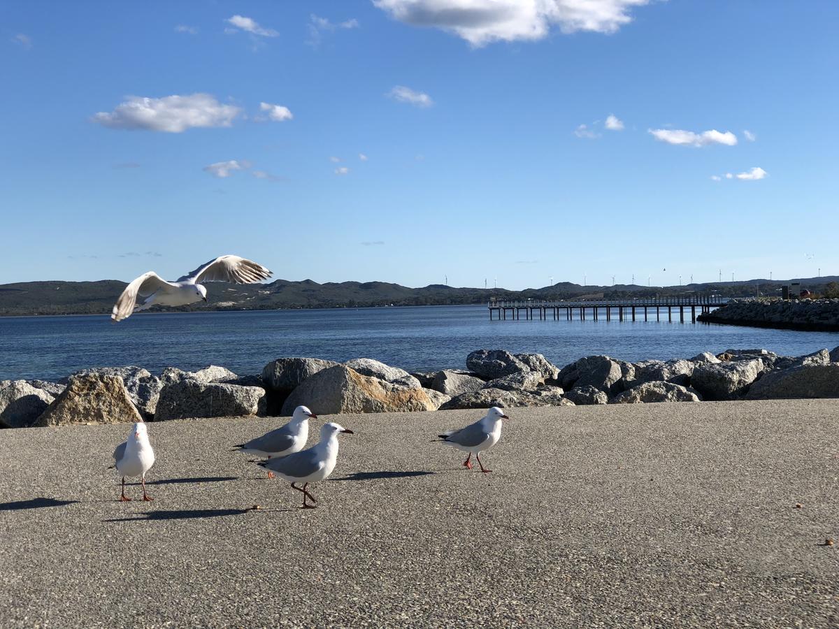 奥尔巴尼海滩住宿加早餐旅馆 外观 照片
