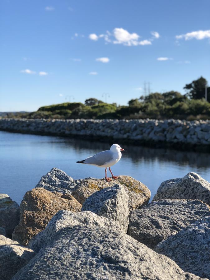 奥尔巴尼海滩住宿加早餐旅馆 外观 照片